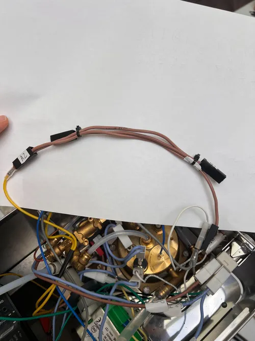 Yellow Heater-to-SSR cable from the boiler heater terminal to one OUTPUT terminal of the SSR